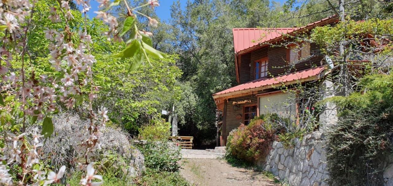 Casa De Montana Inmersa En Bosque Nativo San José de Maipo Exterior foto